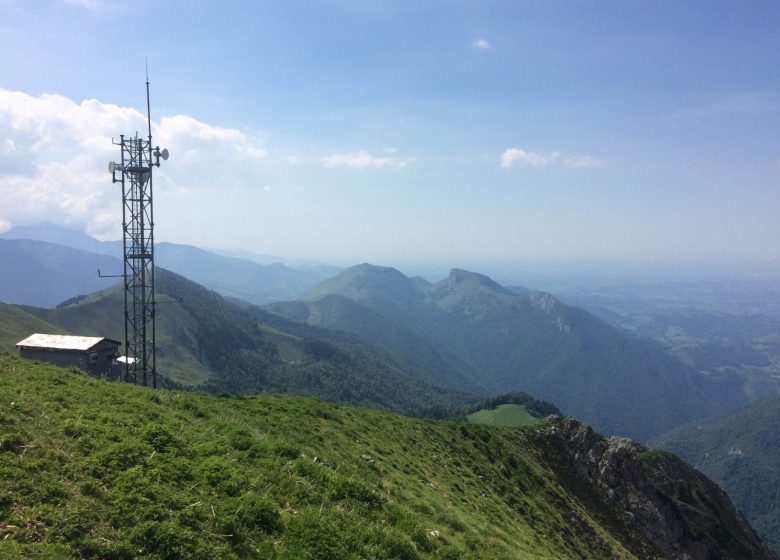 Signal de Bassia