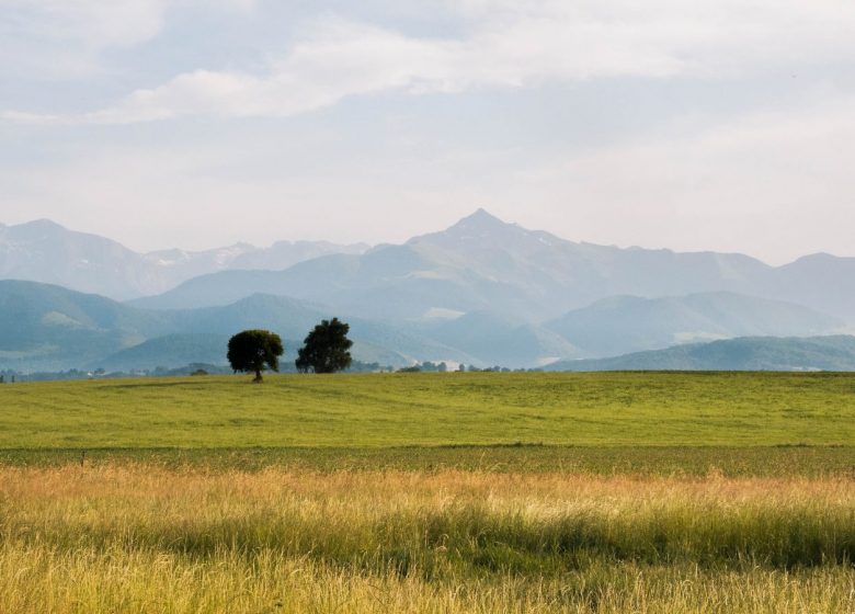 Le tour des cinq coteaux