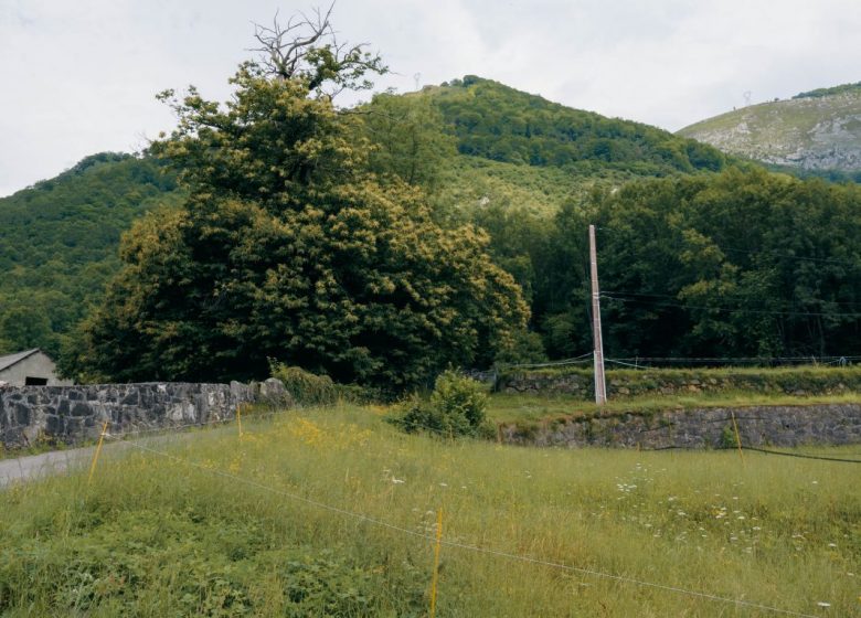 STUDIO AU FIL DU BONHEUR