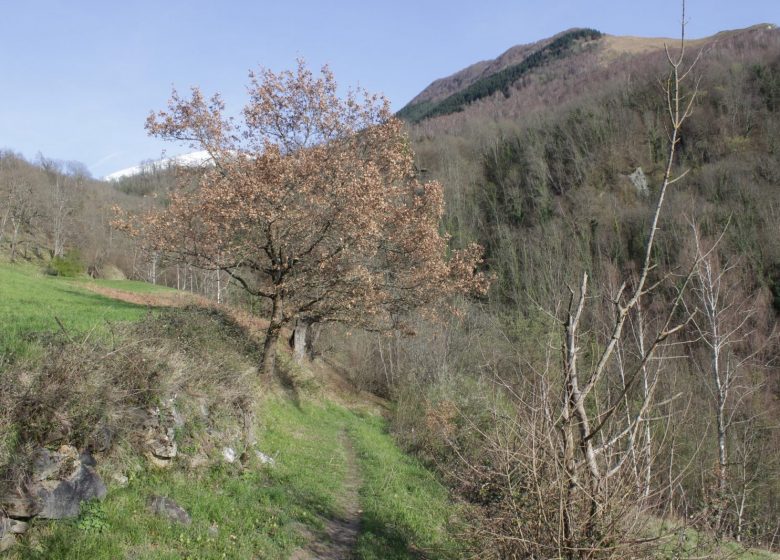 Les Balcons du Davantaygue