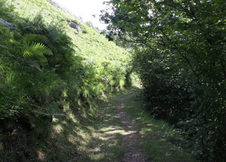 Ronde de Carmoulin