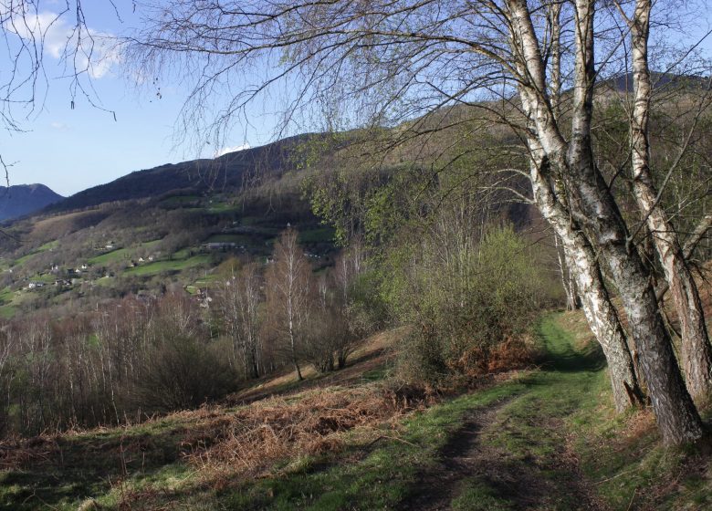 Circuit n°2 Vallée d’Argelès – Cap de Mourquey