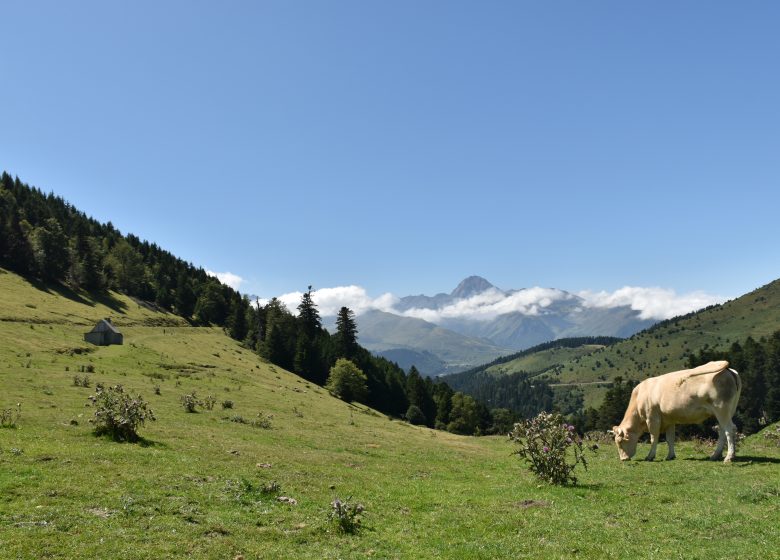 Payolle et le col d’Aspin