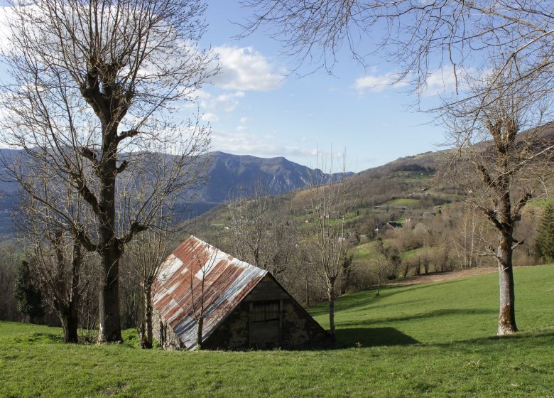 Circuit n°1 – Vallée d’Argelès – Les Artigaux – N°1