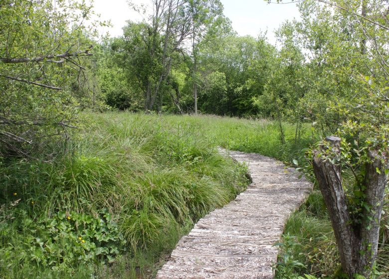 Aucun, au fil de l’eau