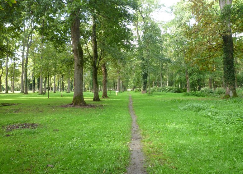 Balade de la Plantade, Sentier d’interprétation