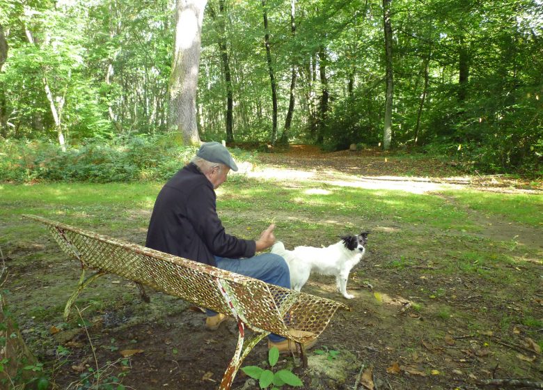 Balade de la Plantade, Sentier d’interprétation