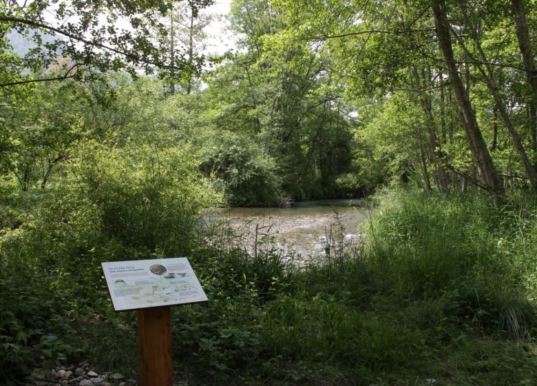 Aucun, au fil de l’eau