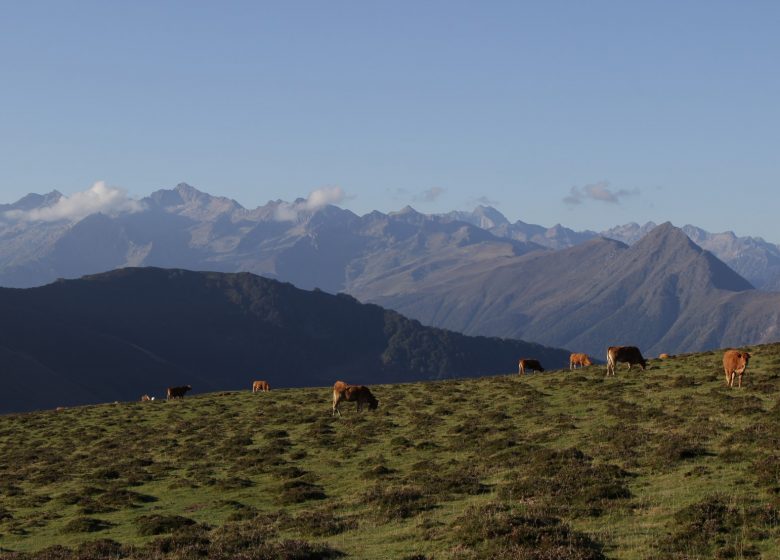 Les crêtes du Hautacam