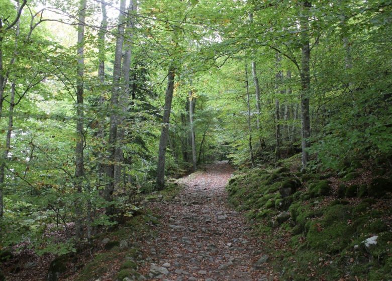 Le tour du Plateau du Lisey