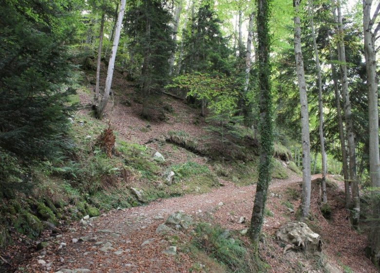 Le tour du Plateau du Lisey