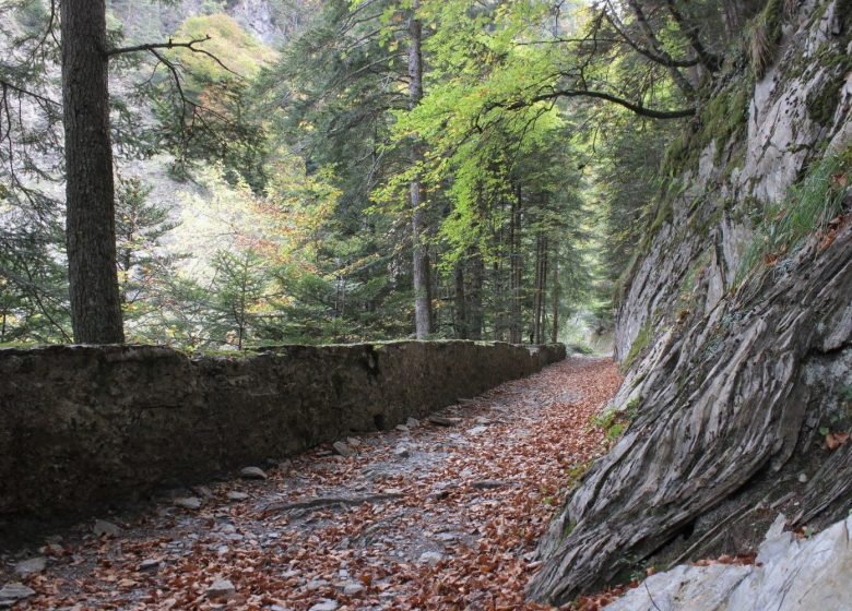 Le tour du Plateau du Lisey