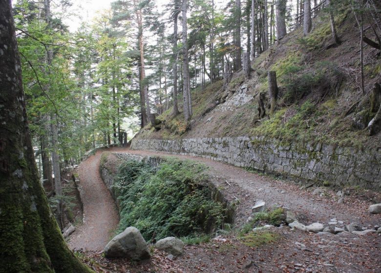 Le tour du Plateau du Lisey