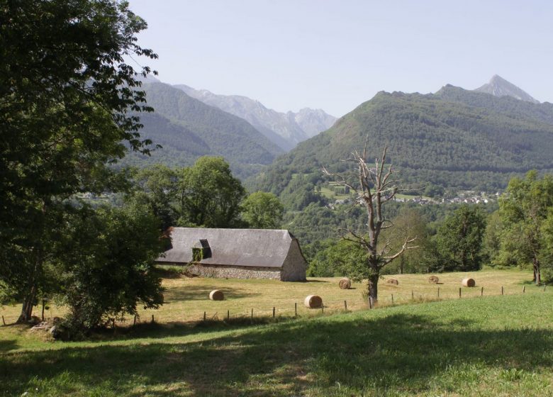 Ronde de Carmoulin