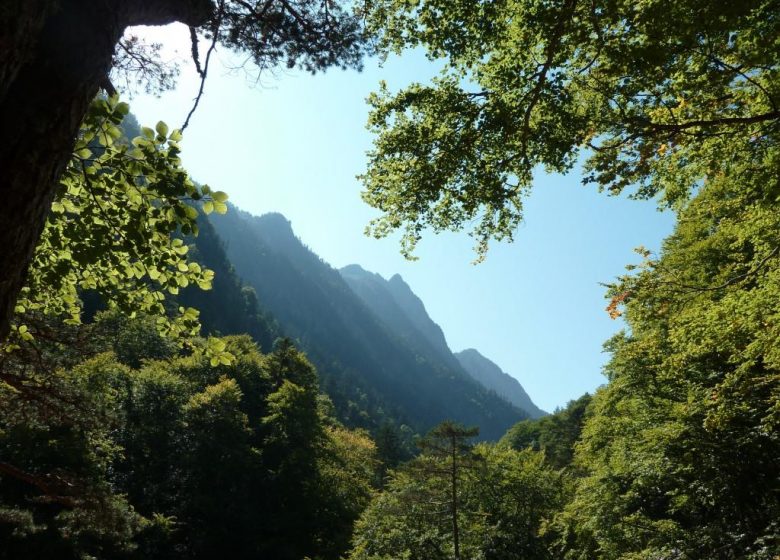 Le chemin des cascades (copy)