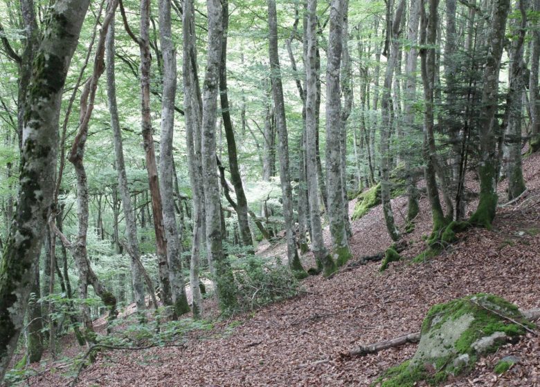 Le tour de Luncet