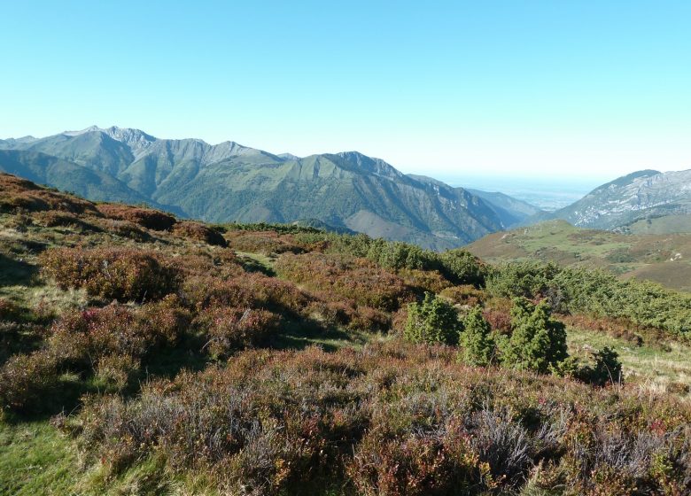 Le lac de Soum